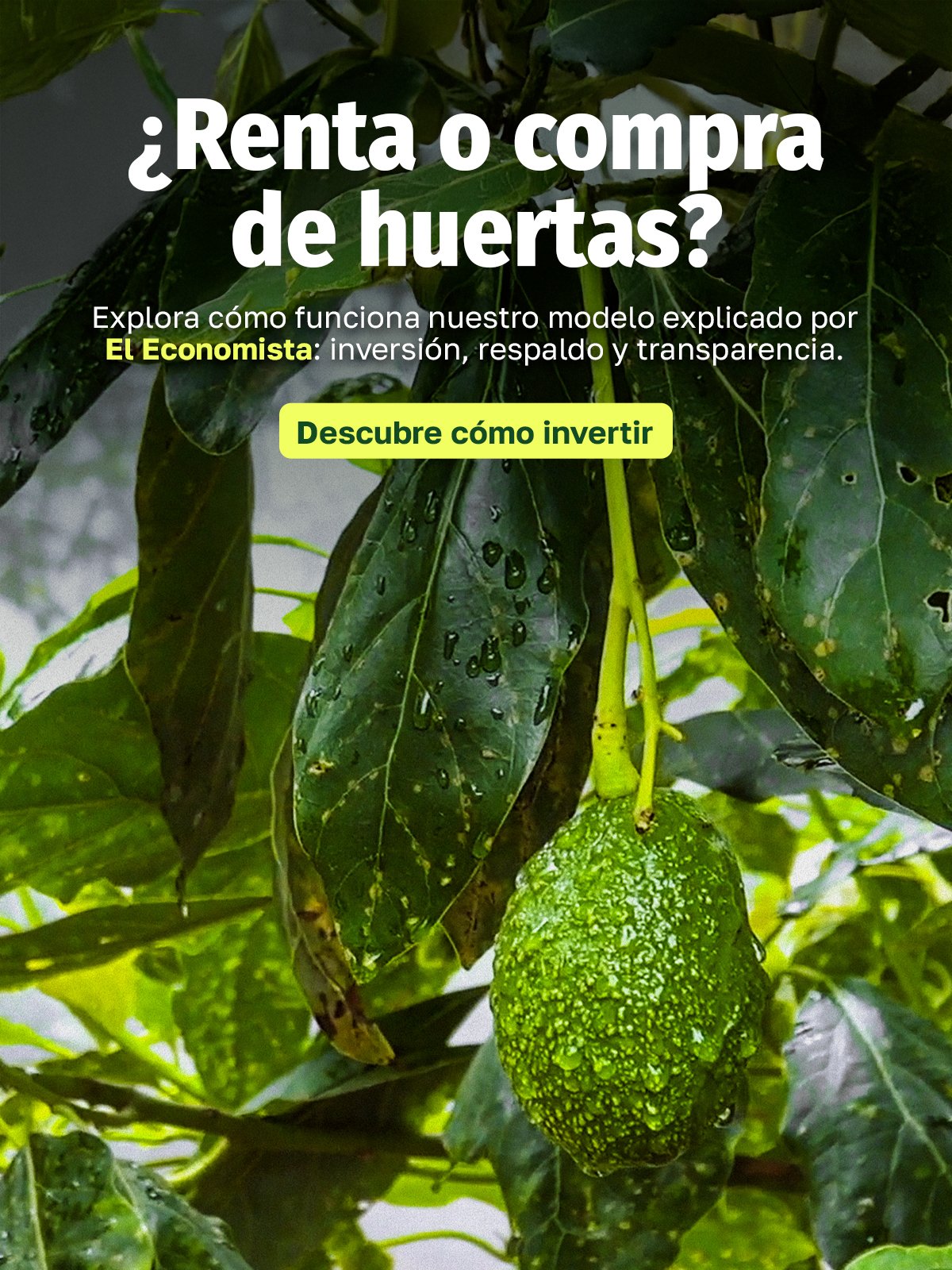 HUMPEC-2025-BannerWeb-Articulos-El_Financiero-V